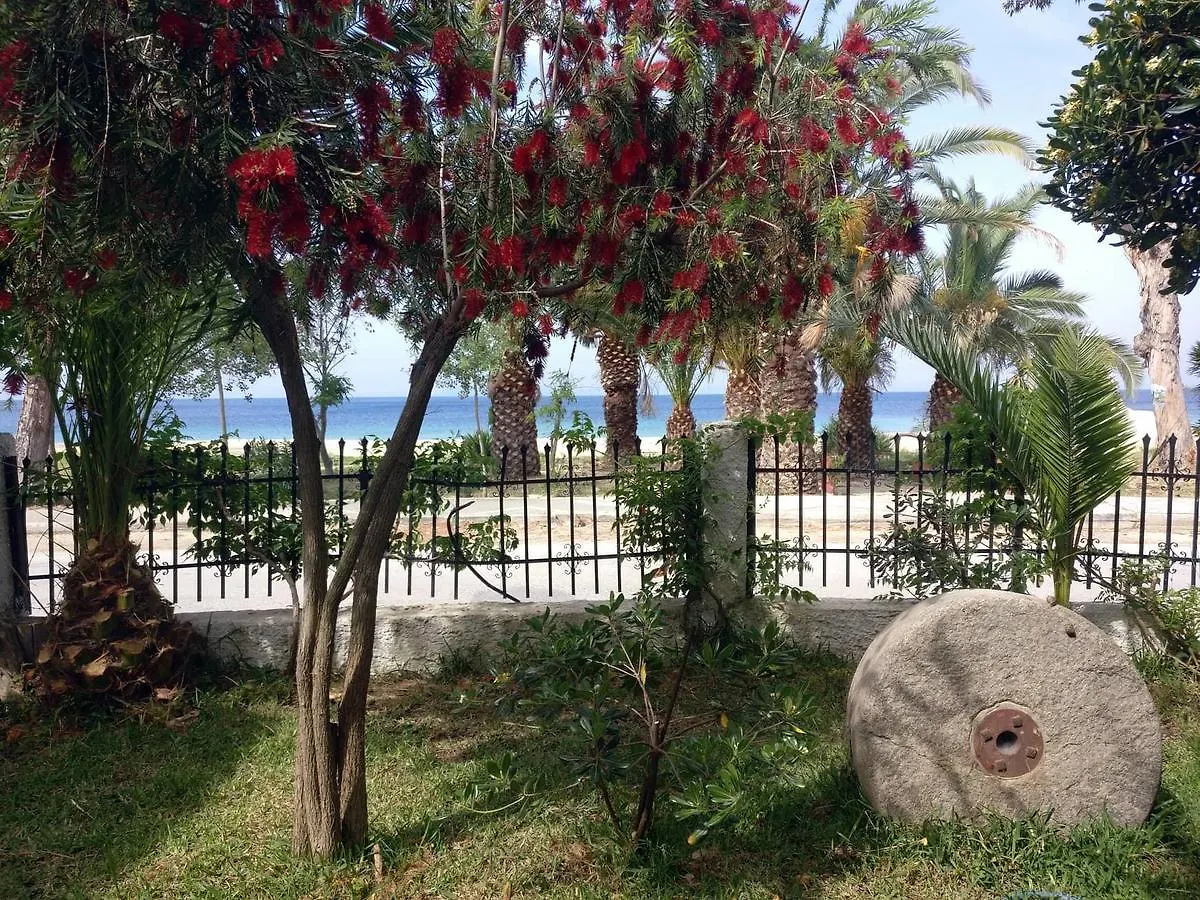 Olga Beachfront Apartments Toroni