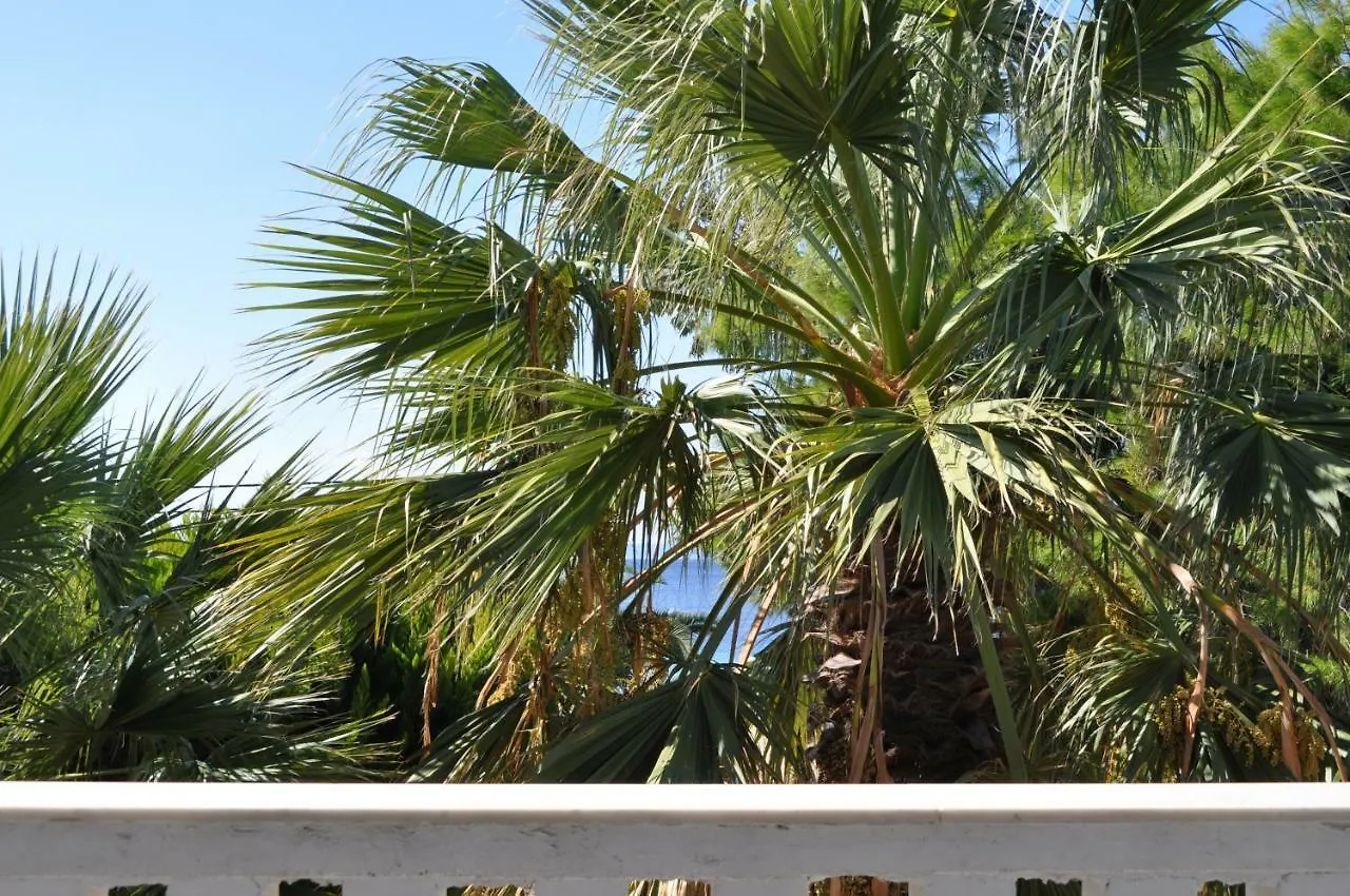 Olga Beachfront Apartments Toroni 0*,