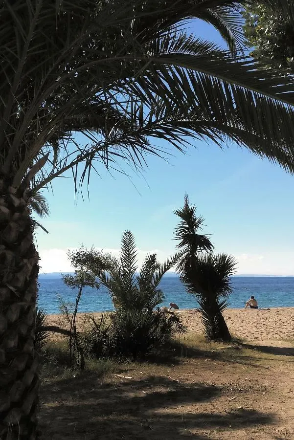 Olga Beachfront Apartments Toroni Greece